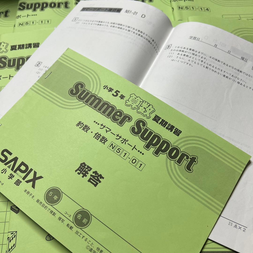 ⑳ A 未記入　SAPIX サピックス　5年　算数　サマーサポート　夏期講習
