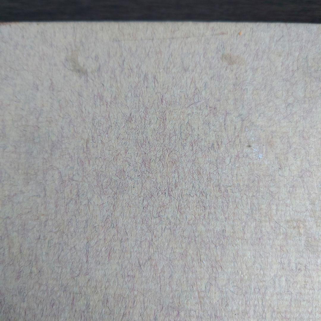 【超希少】本の中に生きる女たち