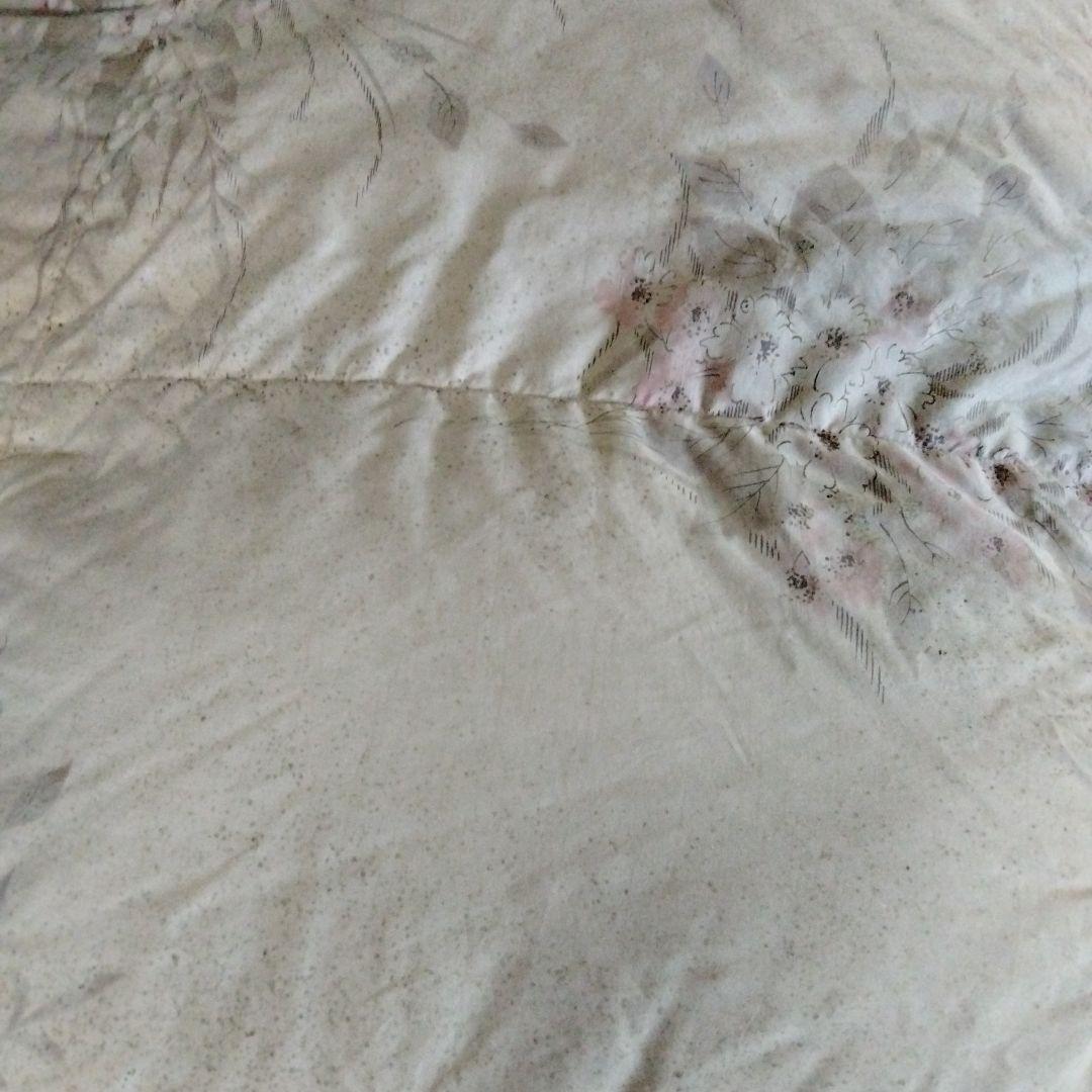 ヤングスワン　水鳥の羽毛　1,5kg入り　表地シルク20%　綿80%