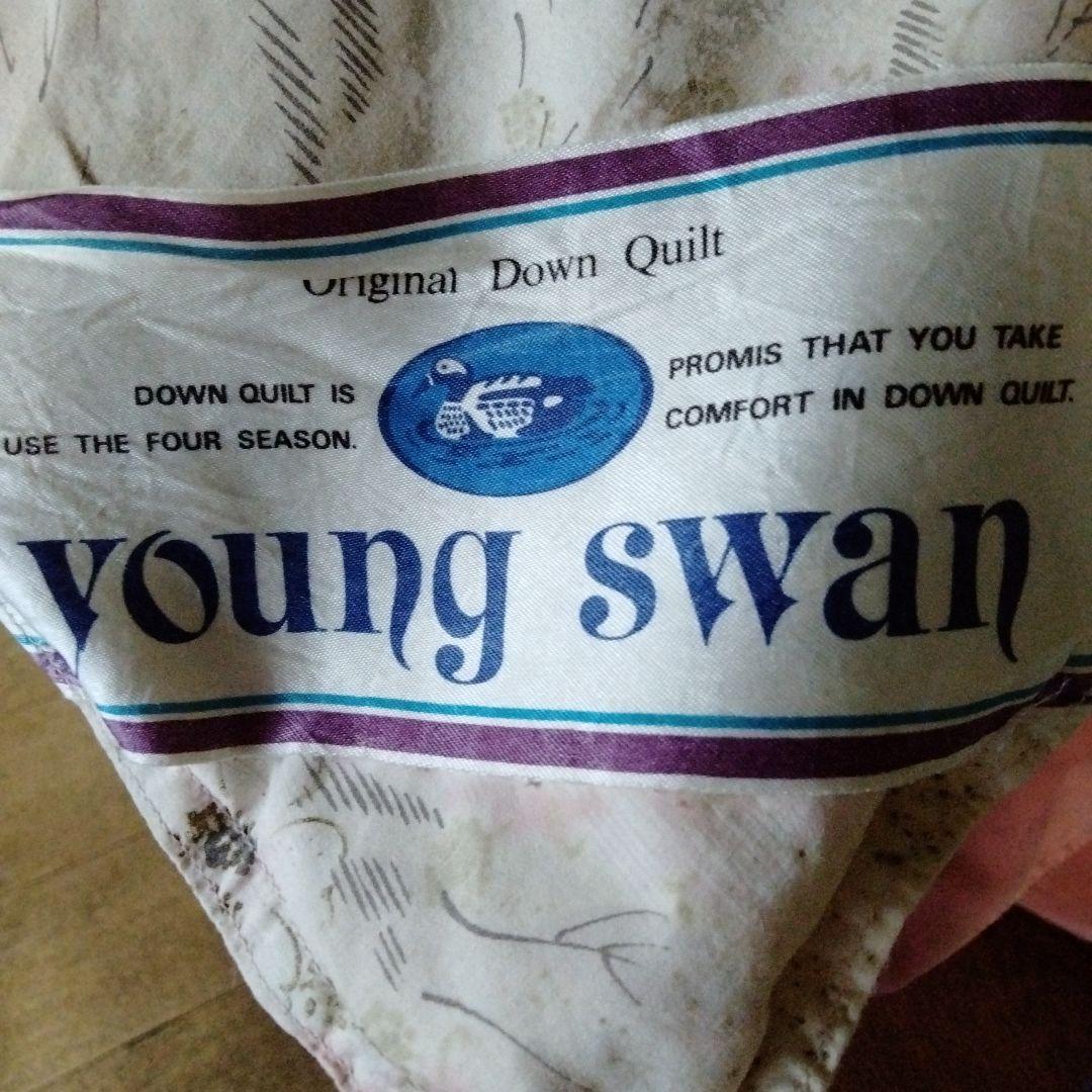 ヤングスワン　水鳥の羽毛　1,5kg入り　表地シルク20%　綿80%