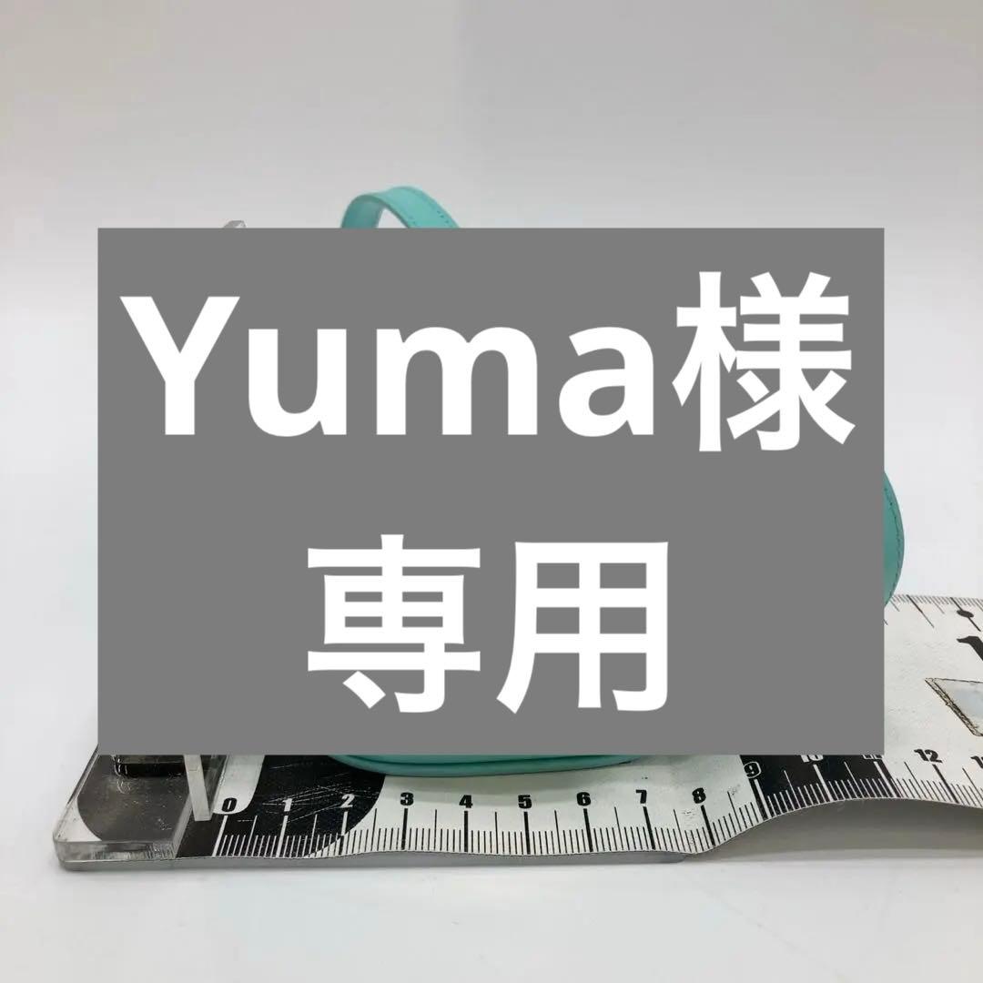 ミントグリーン ショルダーバッグ ゴールド装飾