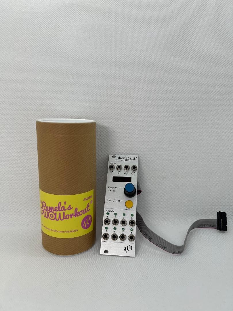 鍵盤楽器 ALM Busy Pamela's New Workout