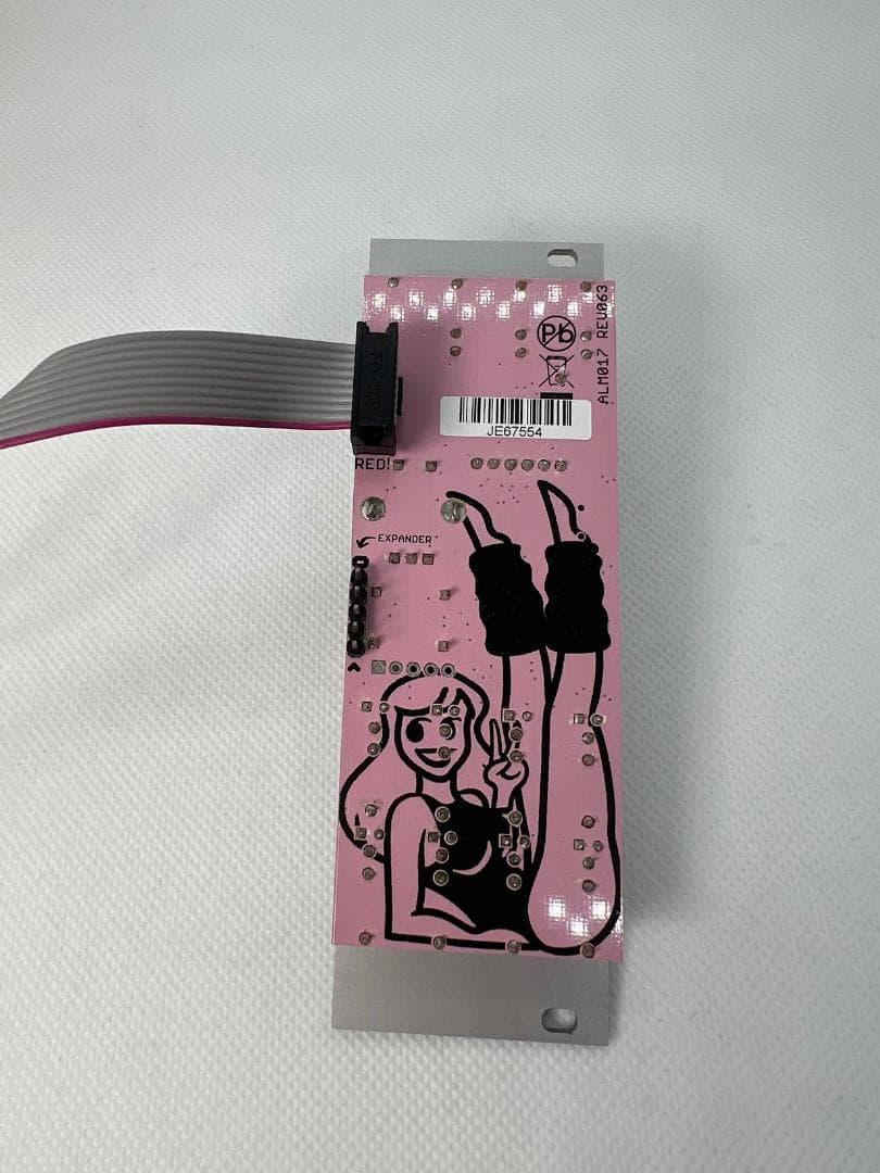 鍵盤楽器 ALM Busy Pamela's New Workout