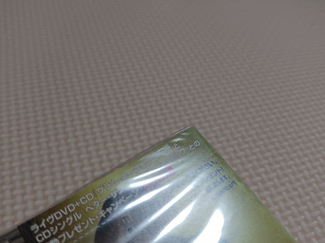 アダム・ランバート トレスパッシング 国内盤CD+DVD