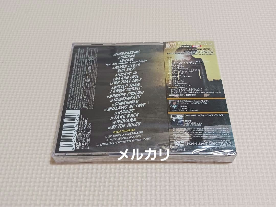 アダム・ランバート トレスパッシング 国内盤CD+DVD