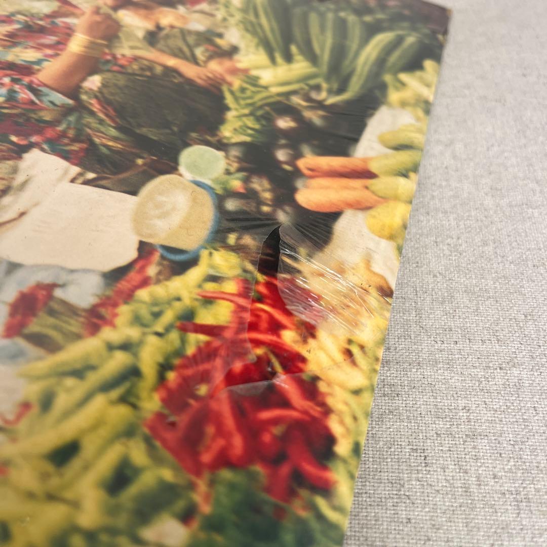 新品 緑黄色人種 SHING 02 DJ NOZAWA 希少 2lp