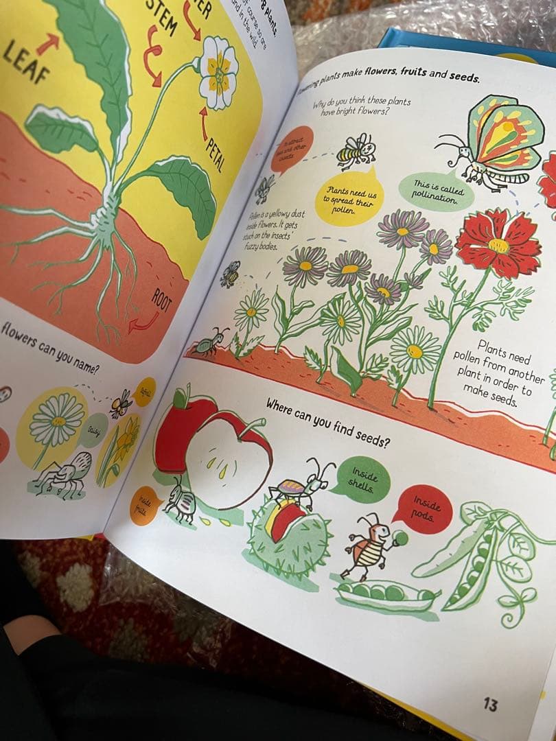 ✨即日発送✨UsborneAll you need to know 5冊セット