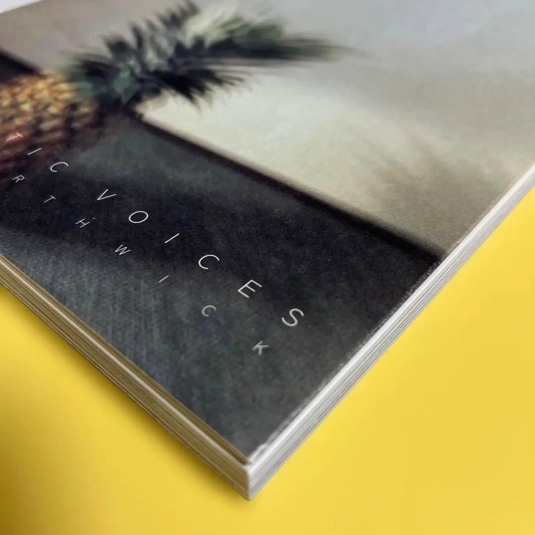 写真集「Synthetic Voices」マーク・ボスウィック 1998年