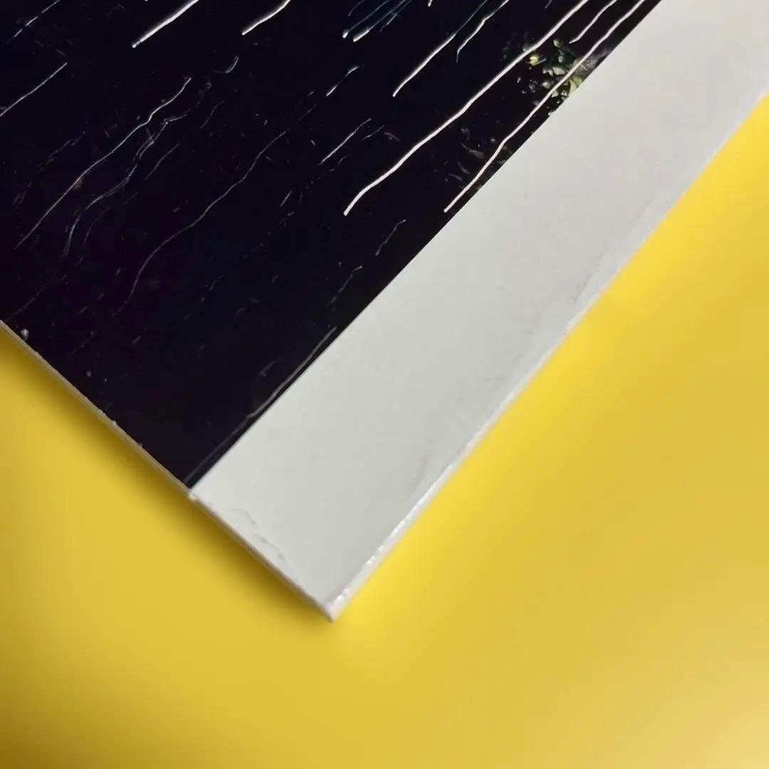 写真集「Synthetic Voices」マーク・ボスウィック 1998年