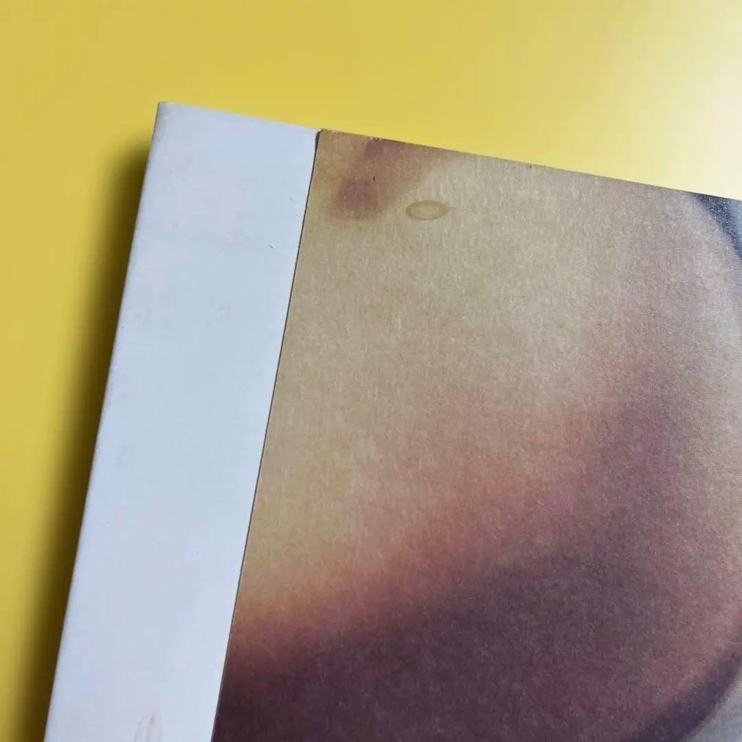 写真集「Synthetic Voices」マーク・ボスウィック 1998年