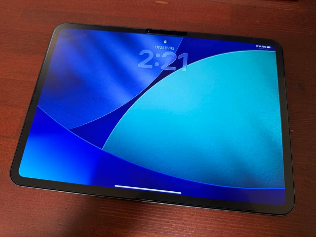 iPad Pro 11 M4 256GB WiFIモデル 97% 美品