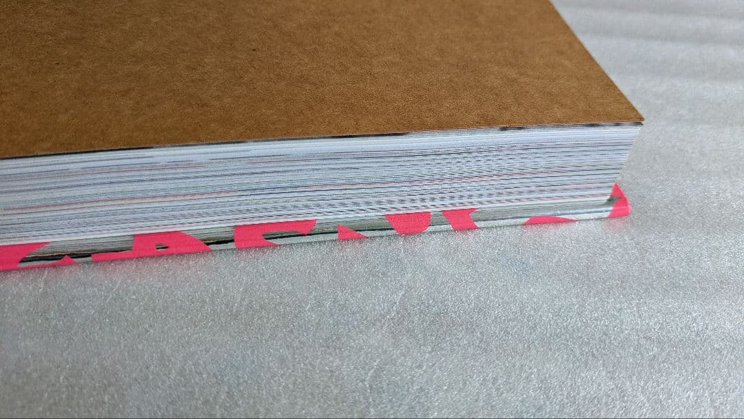 the stephen sprouse book ルイヴィトン