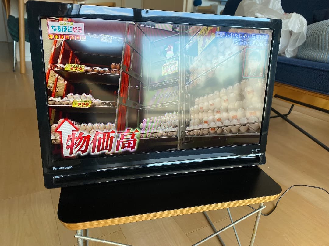 Panasonic プライベートビエラ 19型 UN-19CF8D