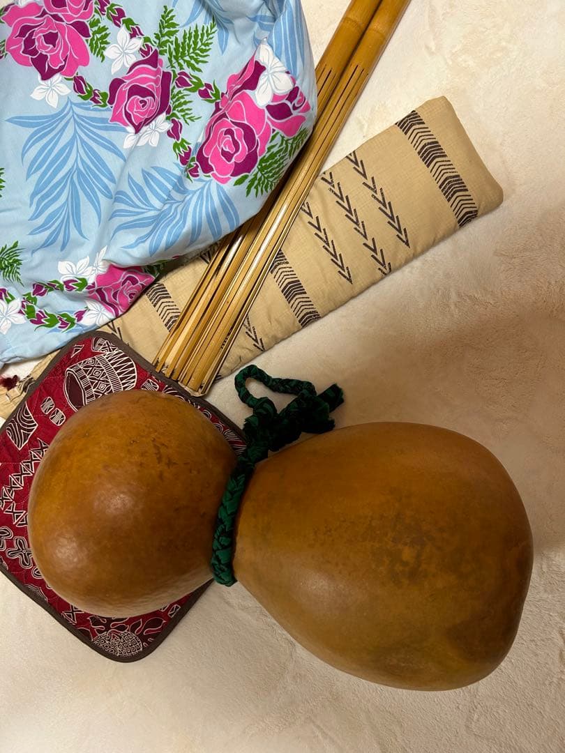 イプヘケ、プイリ(ケース)付き♪