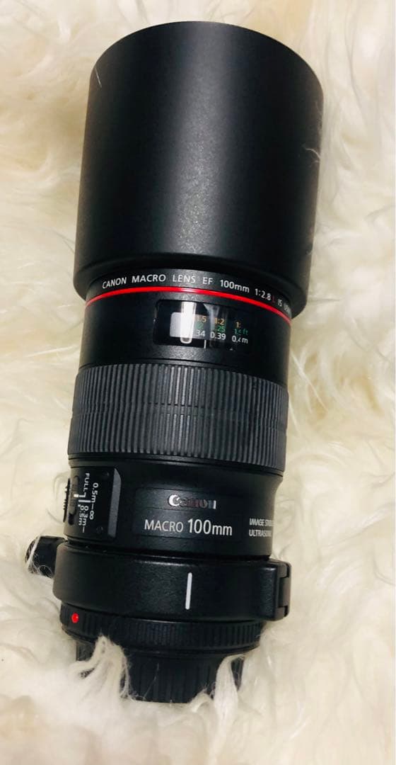 キヤノンcanon EF100mm F2.8Lマクロ IS USM