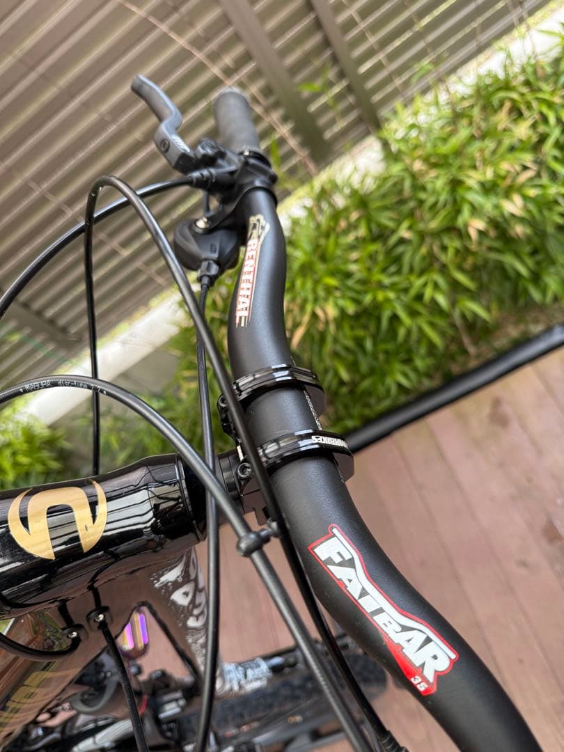 メンテナンス Cannondale habit medium 29