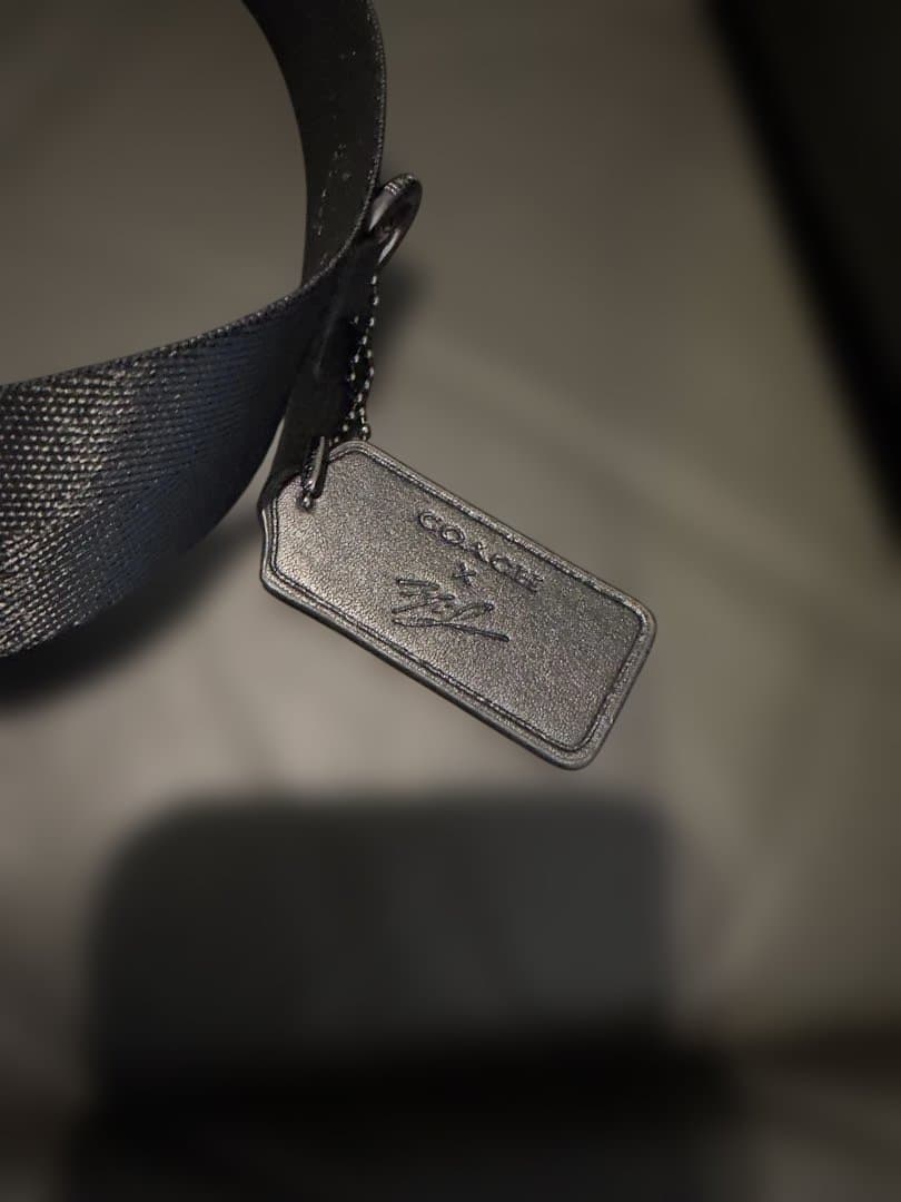 COACHバッグ C6928 レキシー コーチ Xマイケル ジョーダン