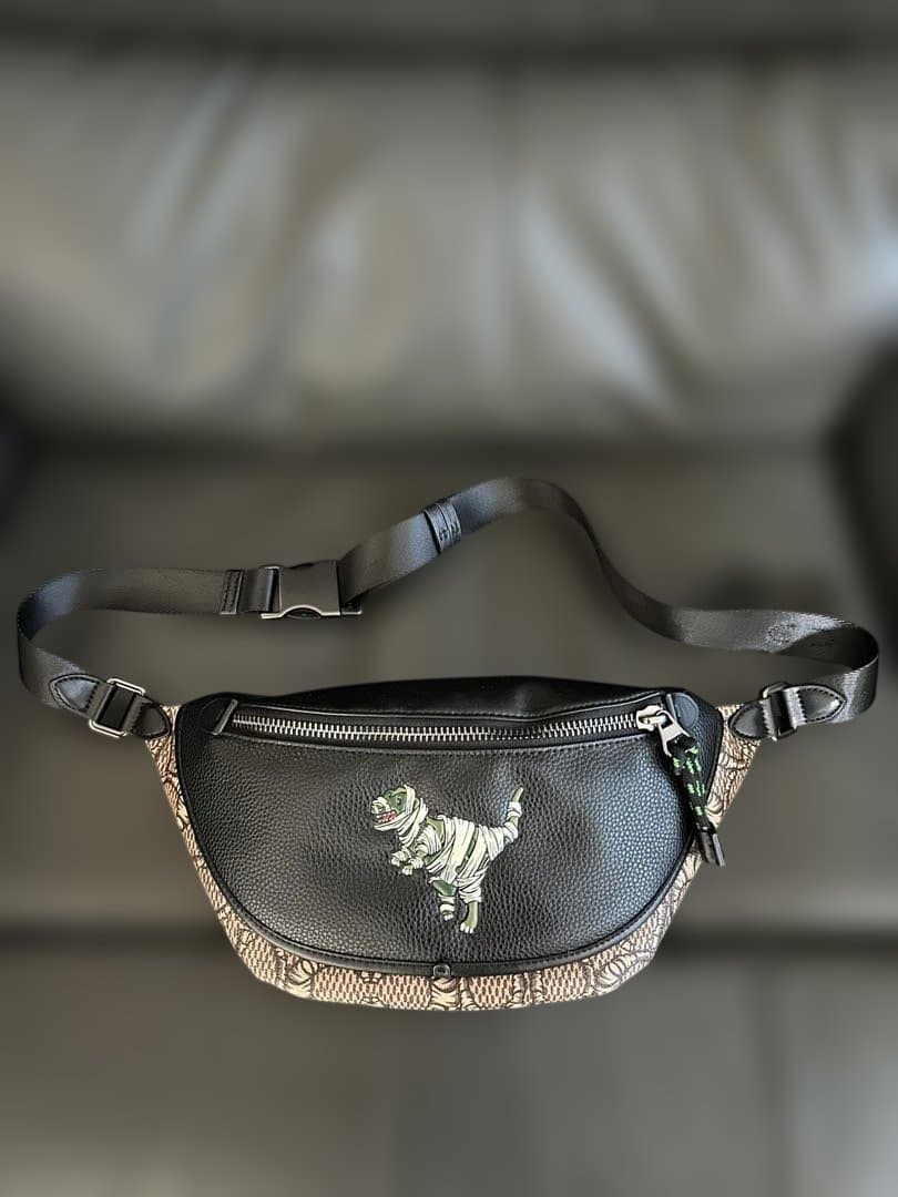 COACHバッグ C6928 レキシー コーチ Xマイケル ジョーダン