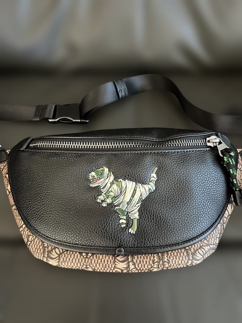 COACHバッグ C6928 レキシー コーチ Xマイケル ジョーダン