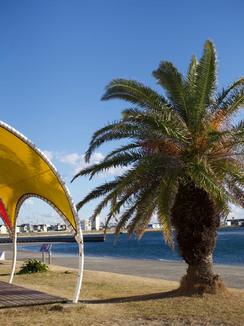 LUMIX G 25mm F1.7 ASPH. レンズ