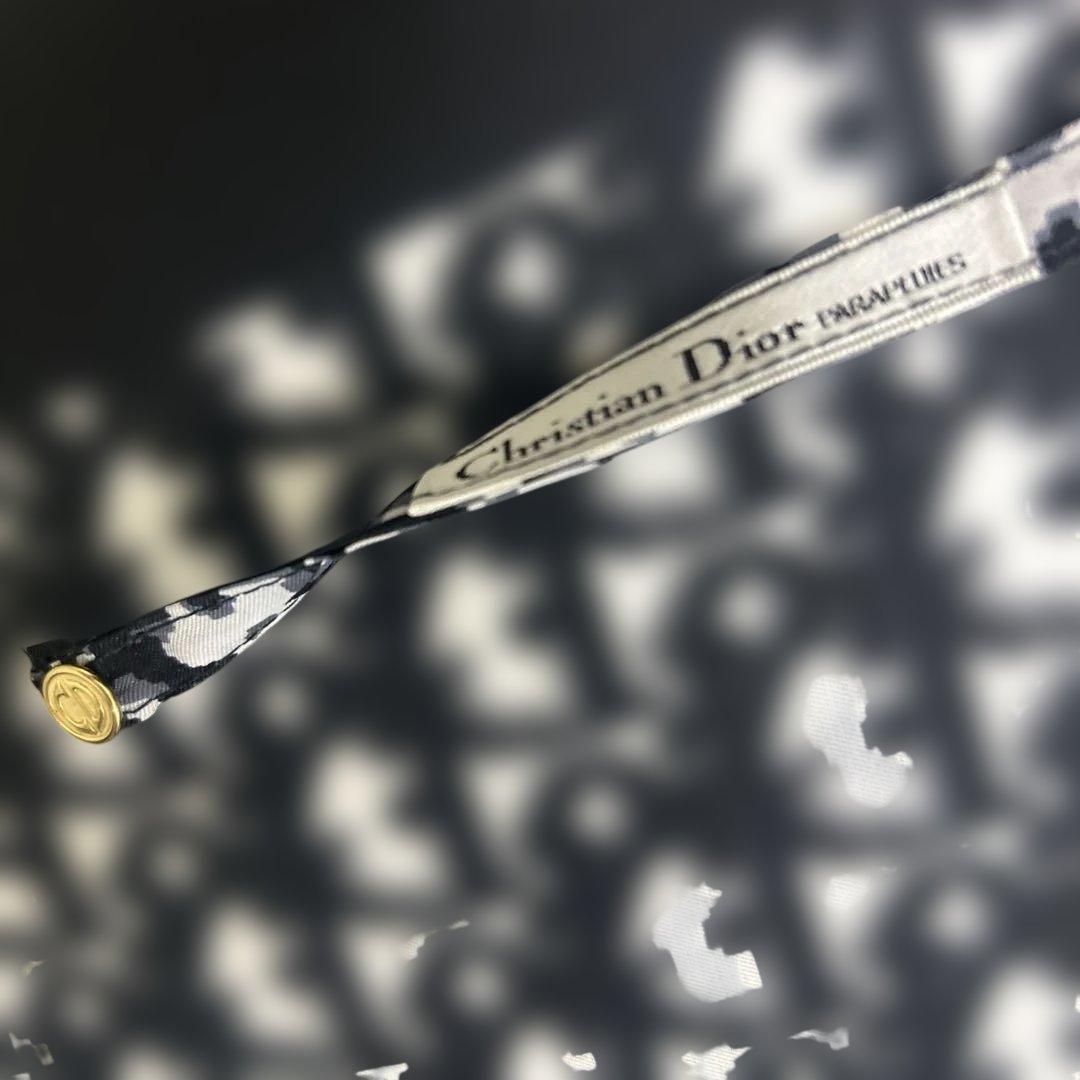 【極美品】クリスチャンディオール　長傘　トロッター　ブラック