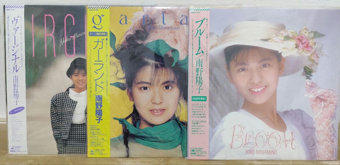 南野陽子　レコードセット＆写真集等セット