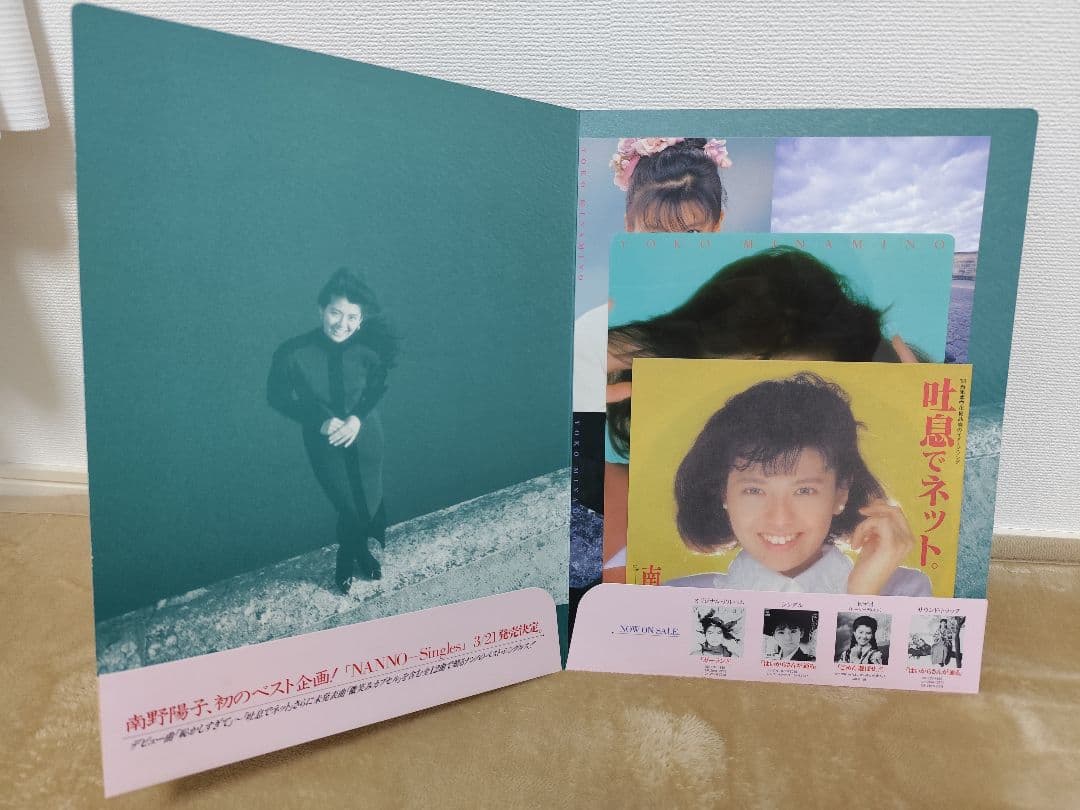 南野陽子　レコードセット＆写真集等セット