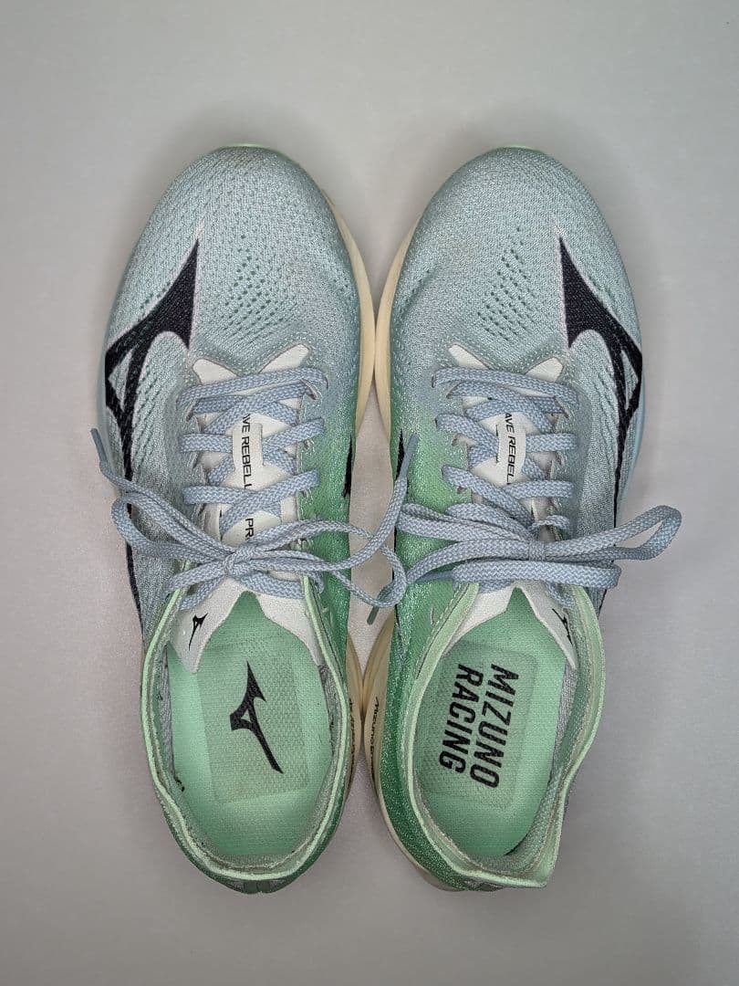 25.5cm MIZUNO ウェーブリベリオンプロ Low ミズノ