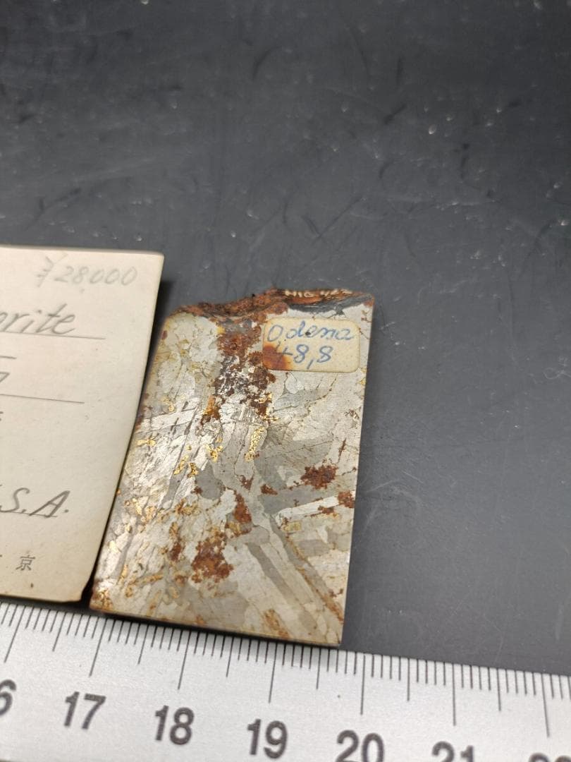 鉄隕石 Odessa Meteorite 48.8g 凡地学研究社 ラベル付き