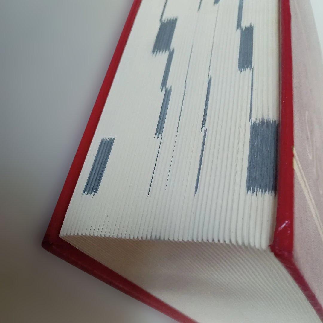 語学・辞書・学習参考書 SYNTHESIS Repertorium opathicum 9.1