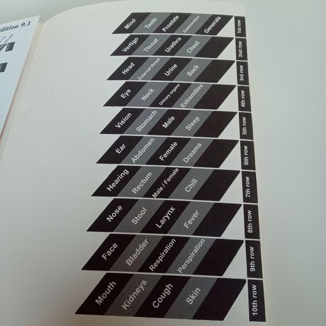 語学・辞書・学習参考書 SYNTHESIS Repertorium opathicum 9.1