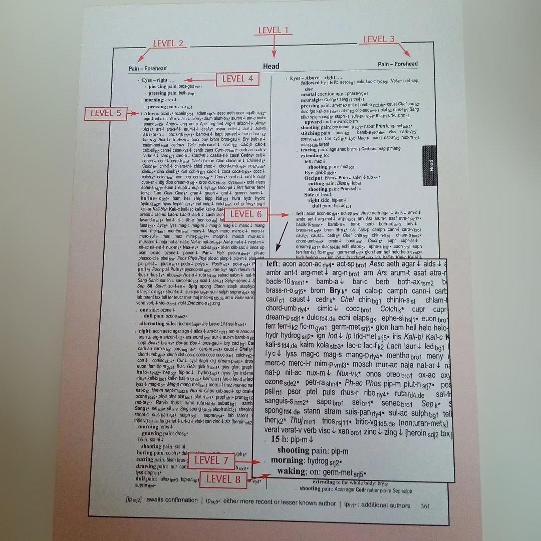 語学・辞書・学習参考書 SYNTHESIS Repertorium opathicum 9.1