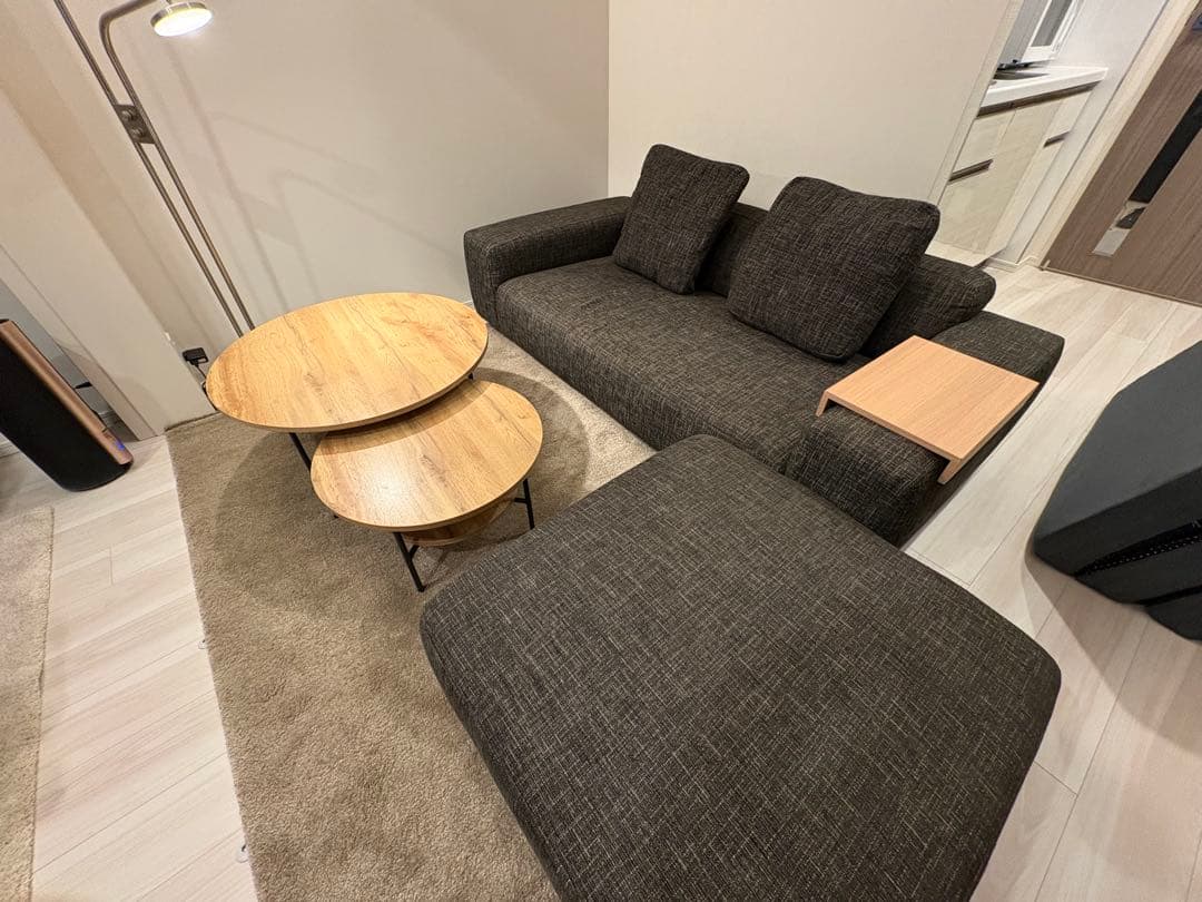 【パパイヤ】NOYESソファ ２人がけ