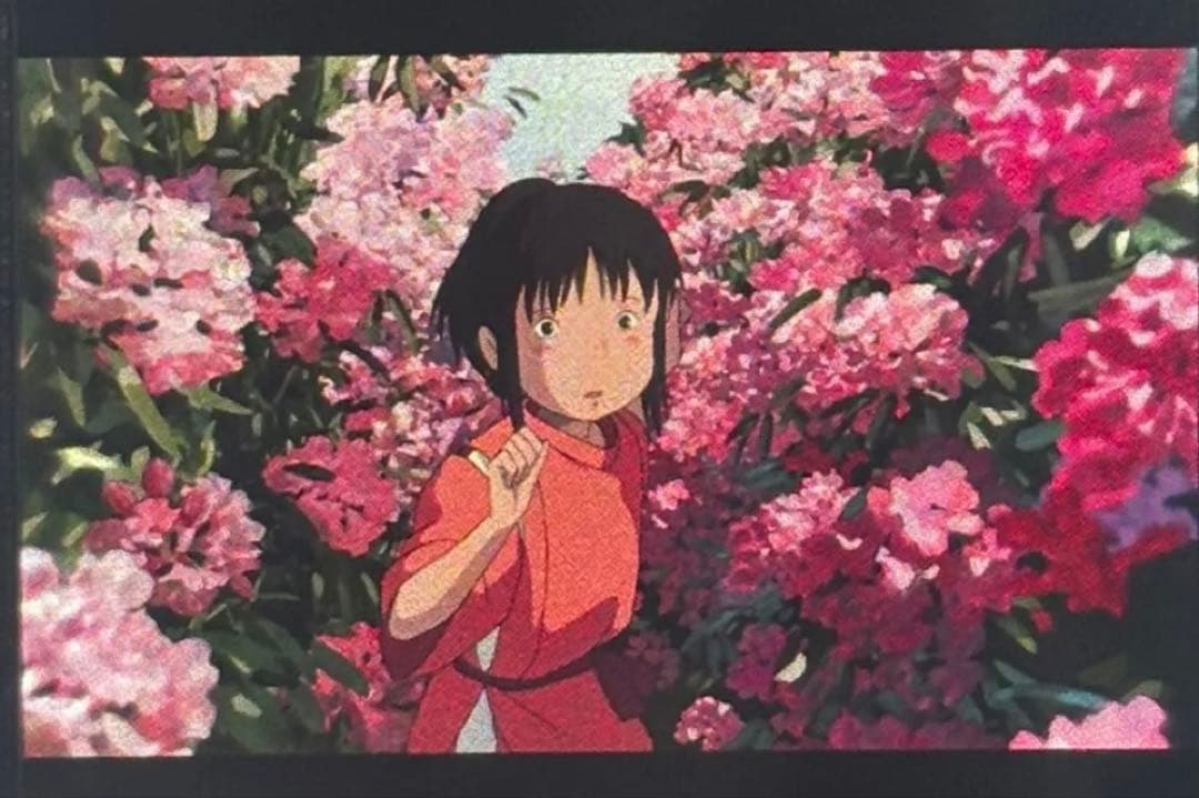 は*ち様 三鷹の森ジブリ美術館 フィルム 入場券 チケット 千と千尋の神隠し