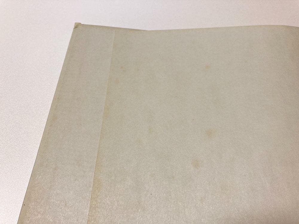 Wolfgang Tillmans ヴォルフガング・ティルマンス