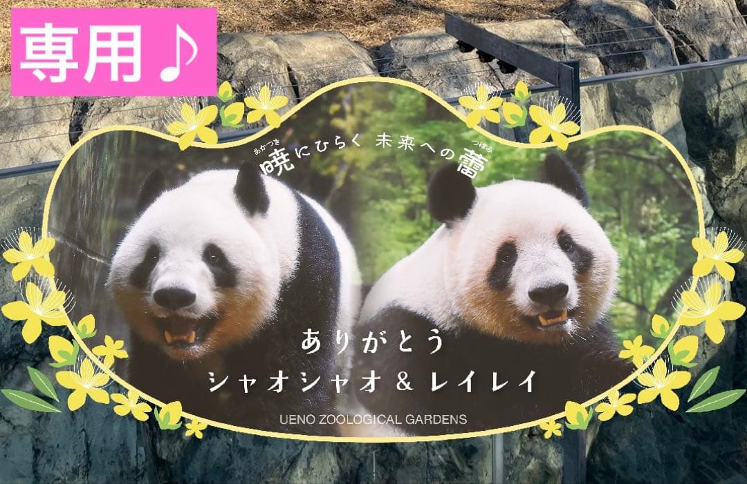 専用　シャオシャオ＆レイレイ