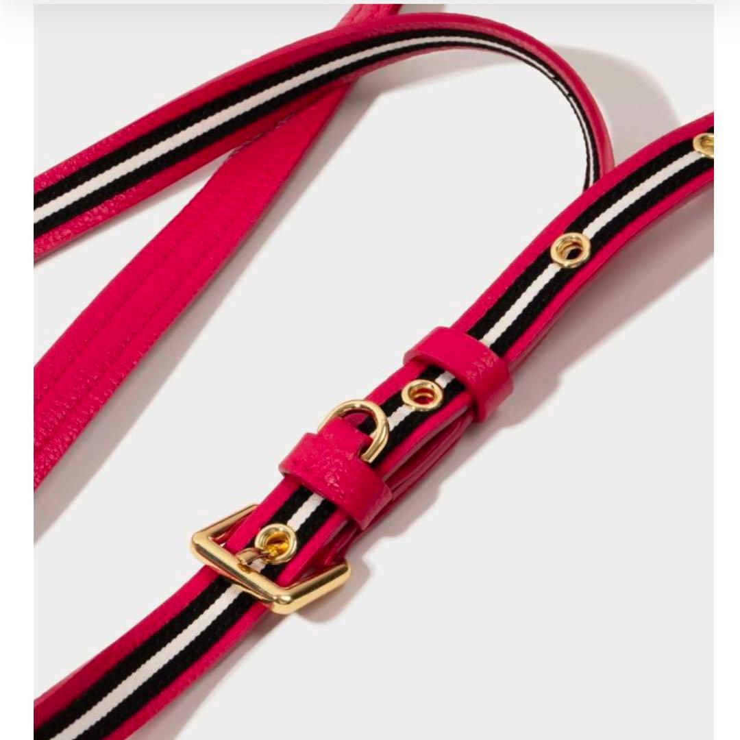 BANDOLIER iPhone15 Pro ケース