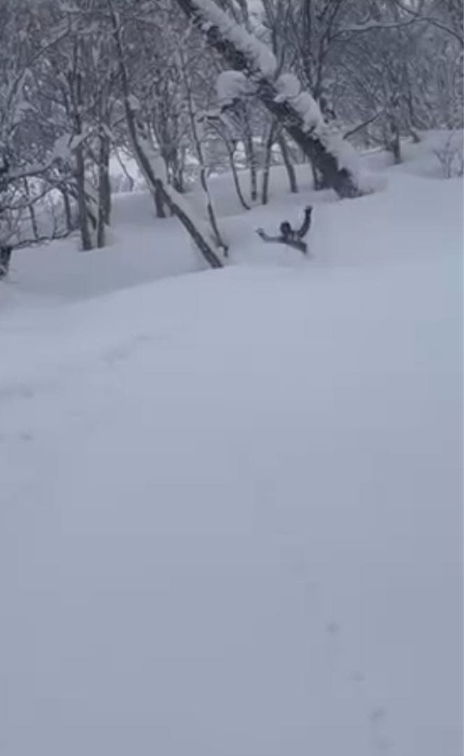 雪板145cmパウダー専用