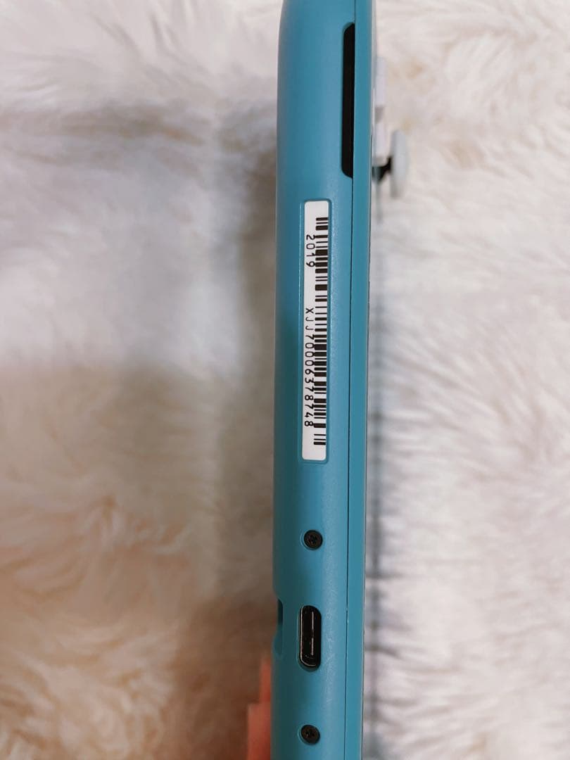 Nintendo Switch Lite 本体＋ケース