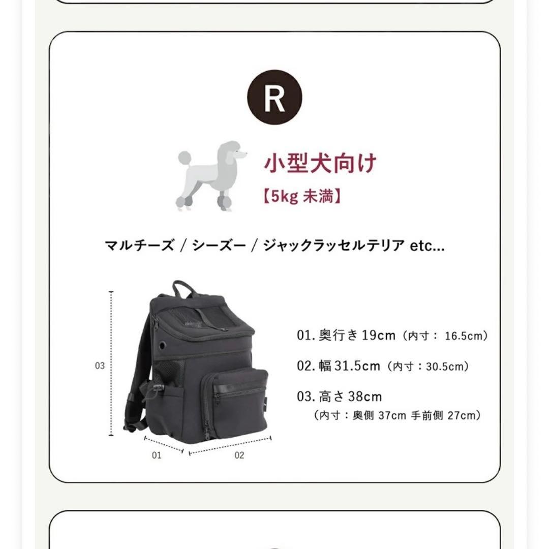 CITYDOG ブラック キャリーバッグ　レギュラーサイズ