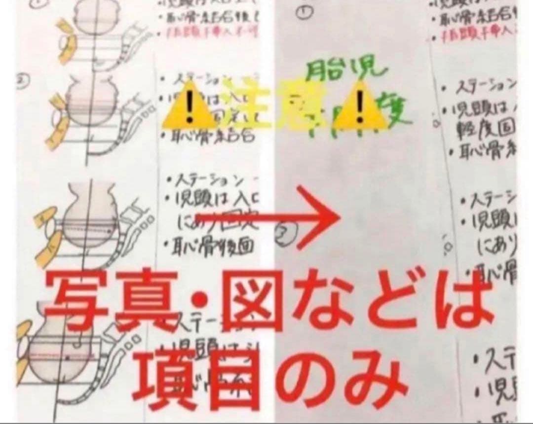 助産師　助産学生　実習乗り切りセット　ポケットサイズ　事前学習　実習　国家試験