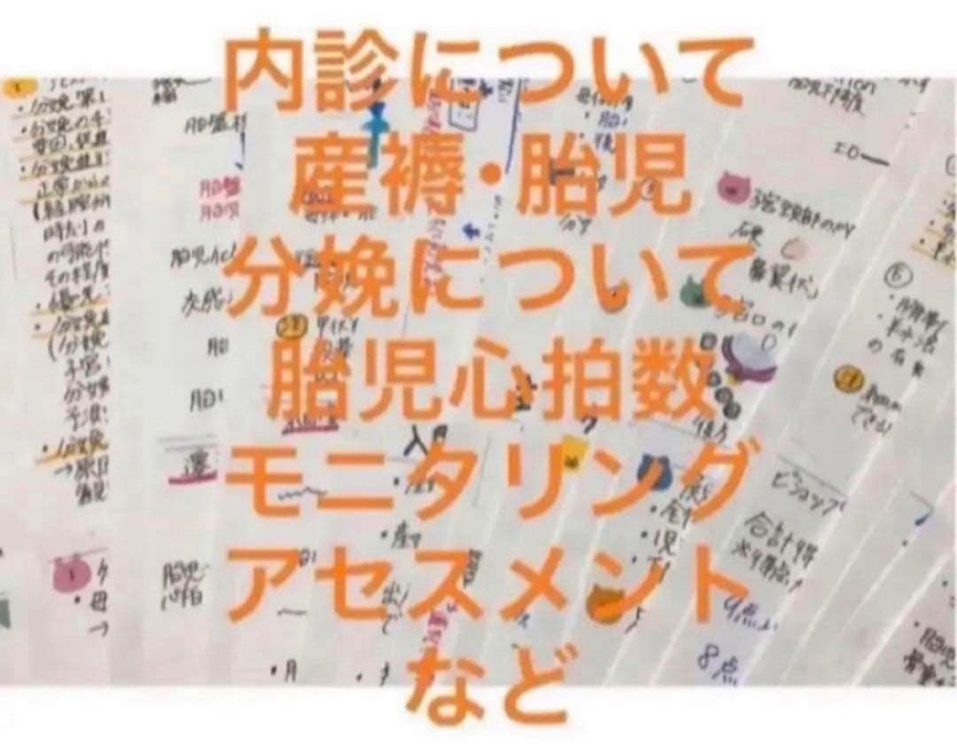 助産師　助産学生　実習乗り切りセット　ポケットサイズ　事前学習　実習　国家試験