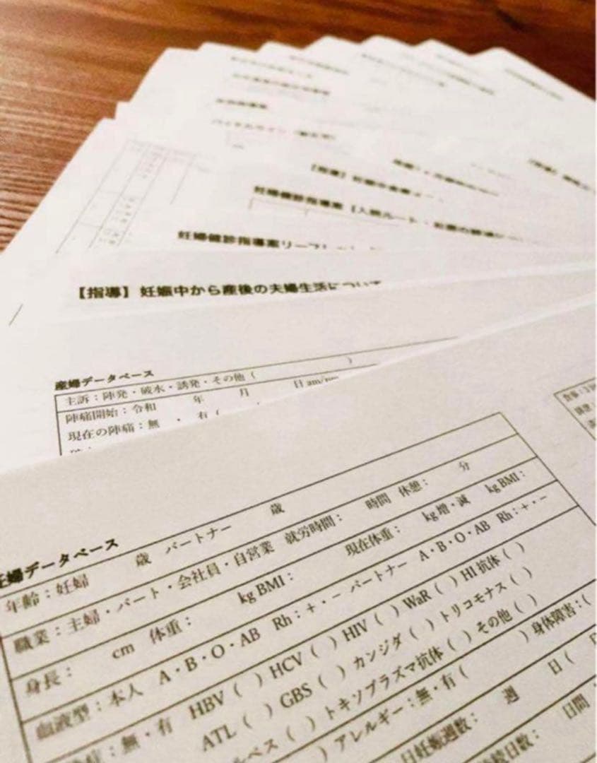 助産師　助産学生　実習乗り切りセット　ポケットサイズ　事前学習　実習　国家試験