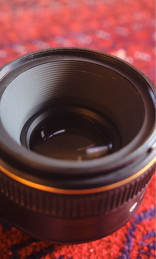 [作例あり]Nikon AF-S NIKKOR 58mm f/1.4G レンズ