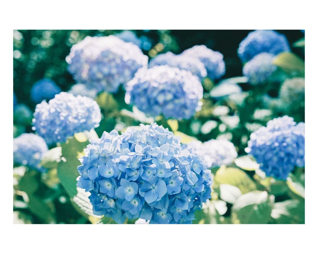 [作例あり]Nikon AF-S NIKKOR 58mm f/1.4G レンズ