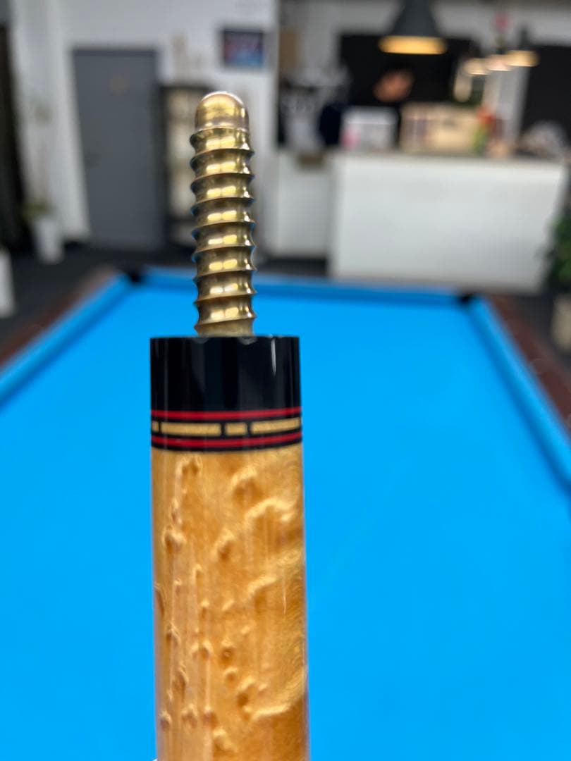 ダン　ディショウ　ラジアルピン