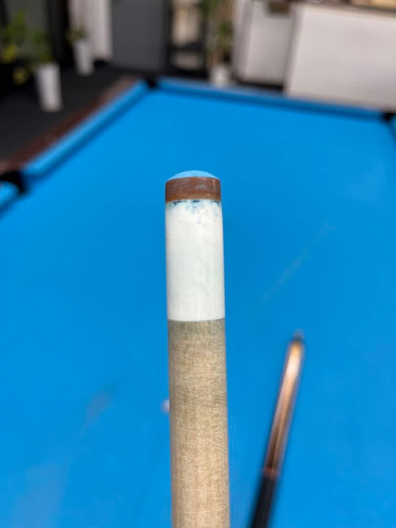 ダン　ディショウ　ラジアルピン