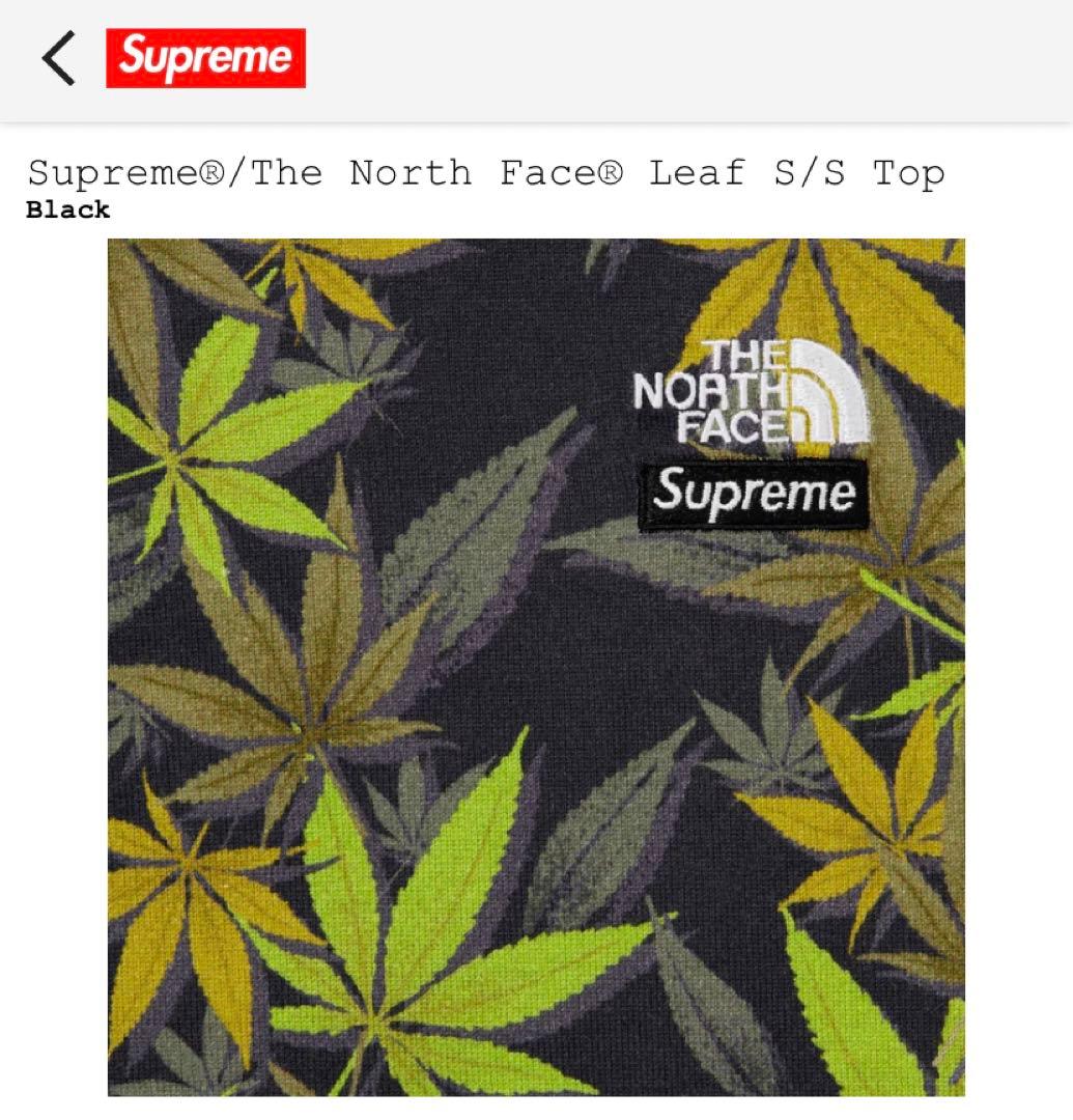 supreme the north face リーフT Sサイズ