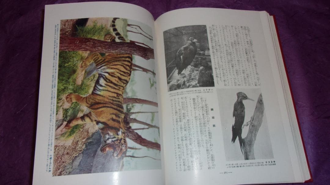 戦前 世界地理風俗大系「朝鮮編上下２冊地図と写真豊富(千数百枚)」美品