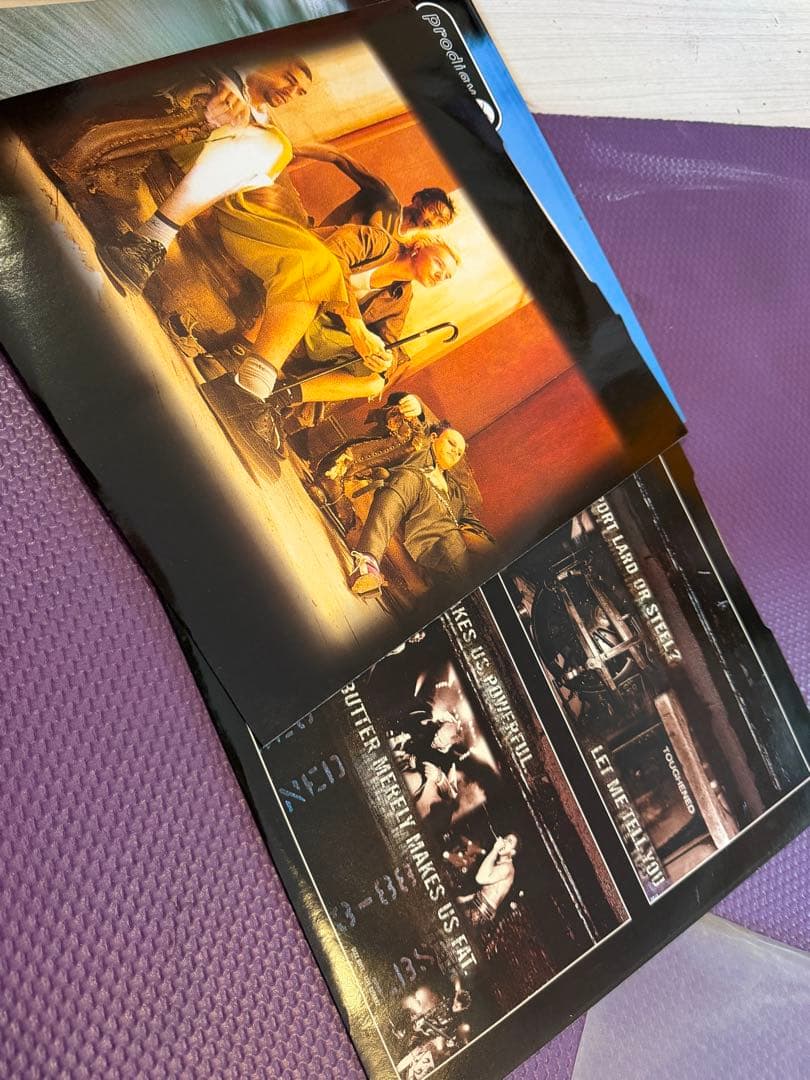 The Prodigy - The Fat of the Land レコード